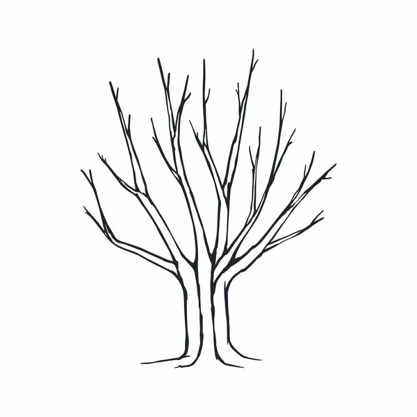 Träd Silhuett Vit Bakgrund — Stock vektor