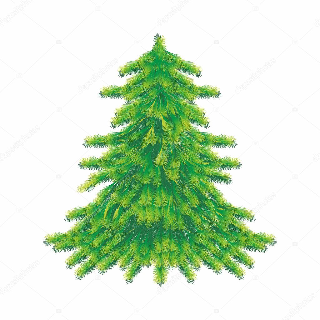 Christmas tree on a white background