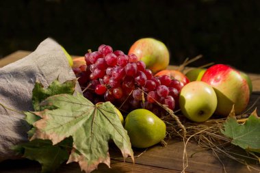 sonbahar meyve hasat