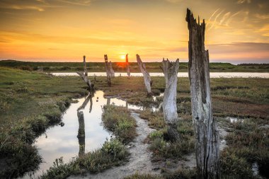 Yüksek gelgit Thornham, Norfolk, İngiltere'de, eski ahşap mesaj