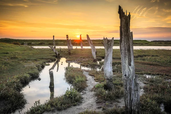 Yüksek gelgit Thornham, Norfolk, İngiltere'de, eski ahşap mesaj