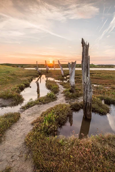 Günbatımı ahşap rustik mesajlar, Thornham, Norfolk, İngiltere