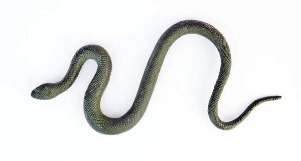 Lifelike Green Snake — Stock Photo, Image
