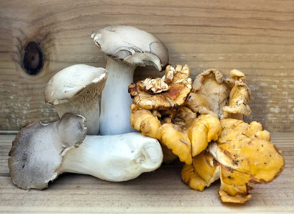 King Trumpet and Chanterelle Mushrooms