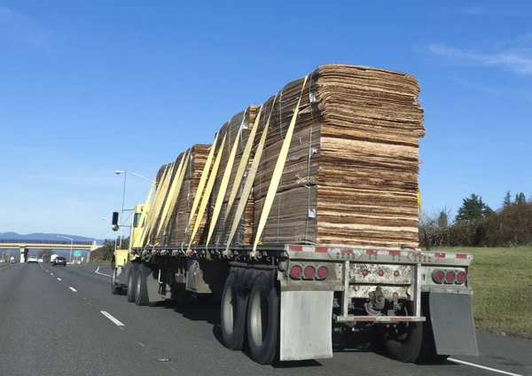 Trucking Industry Lumber Delivery Double Flatbed Cargo — Stock Photo, Image