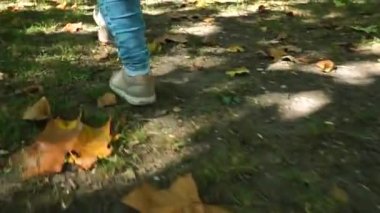 güneşli sonbaharda yürüyüş