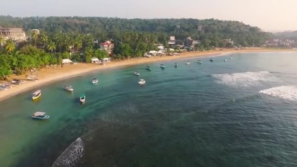 Sri Lanka Dron Bay — Stok video