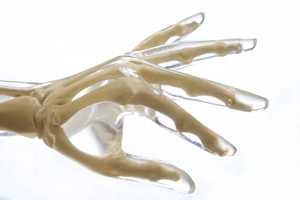 X-ışını Phantom el, şeffaf beyaz arka plan üzerinde izole.