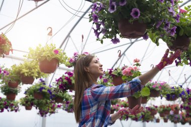 Happy smiling florist arranging flowers for sale at greenhouse garden.