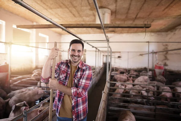 Cultivo de cerdos. Disparo de trabajador campesino sonriente parado en corral de cerdo en la granja de ganado . — Foto de Stock
