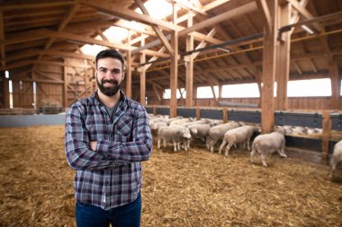 Ahşap ahırda çapraz kollarla poz veren sıradan giysili bir çiftçi. Gıda üretimi ve koyun yetiştiriciliği.
