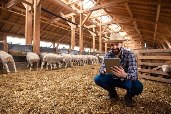 Agricultor Ropa Casual Con Sombrero Control Informe Sobre Estado Salud — Foto de Stock