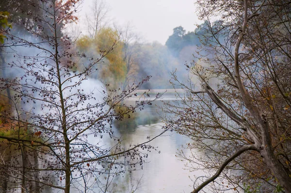 Stiller Herbstwald Und Ein See Nebel — Stockfoto