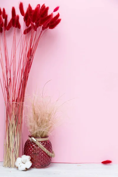 Espiguillas Rojas Jarrón Algodón Decoración Sobre Fondo Rosa — Foto de Stock