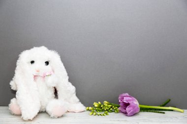 Menekşe Lale ile gri arka plan üzerinde beyaz oyuncak tavşan