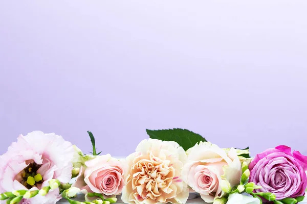 Цветы Фиолетовом Фоне — стоковое фото