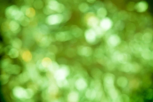 Зелений Боке Весняний Фон — стокове фото