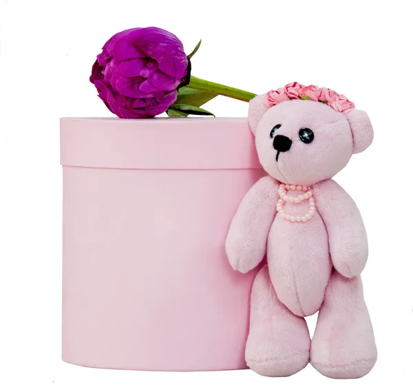 Caja Rosa Con Pión Morado Juguete Rosa Cachorros Oso Cuentas —  Fotos de Stock