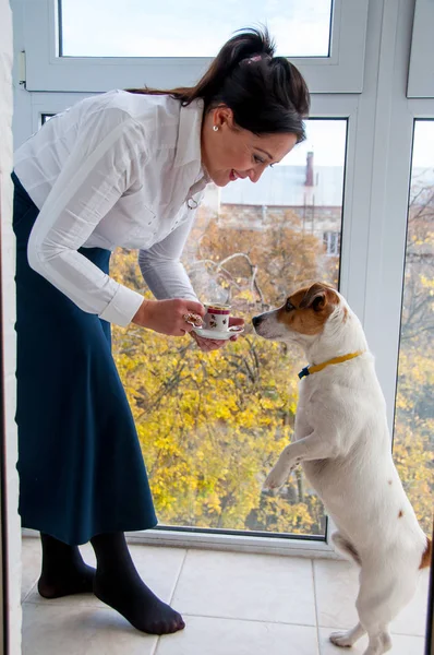 Een Mooie Vrouw Een Witte Blouse Blauwe Uitlopende Rok Geeft — Stockfoto