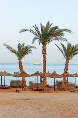 Avuç içi ve şezlonglar plajında beyaz yelken tekne bir mesafe