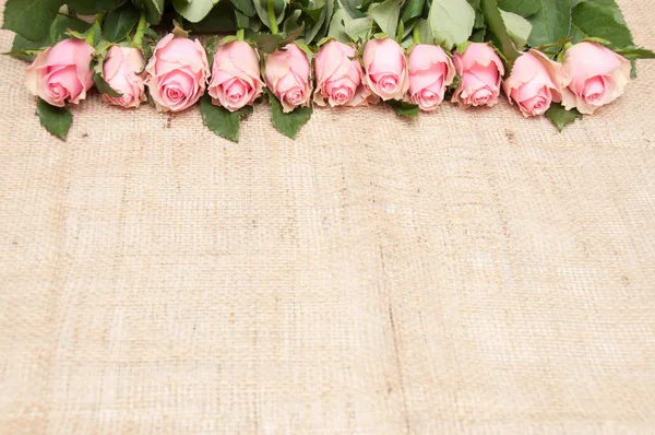 Ροζ Τριαντάφυλλα Ένα Τραχύ Ύφασμα Φόντο — Φωτογραφία Αρχείου