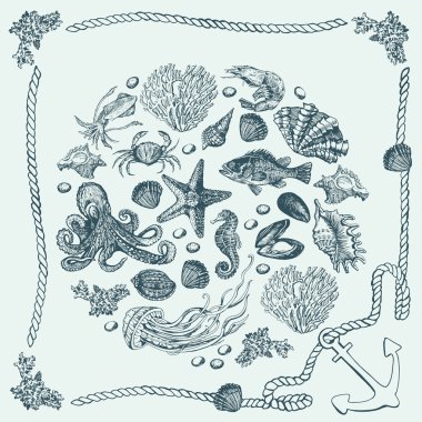 Sualtı nüfusu ile grafik oluşturma