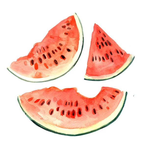 Akvarelu vzorek s meloun plátky — Stock fotografie
