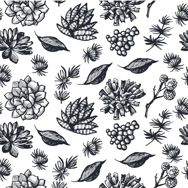 Vintage μοτίβο με αρωματικά βότανα — Διανυσματικό Αρχείο