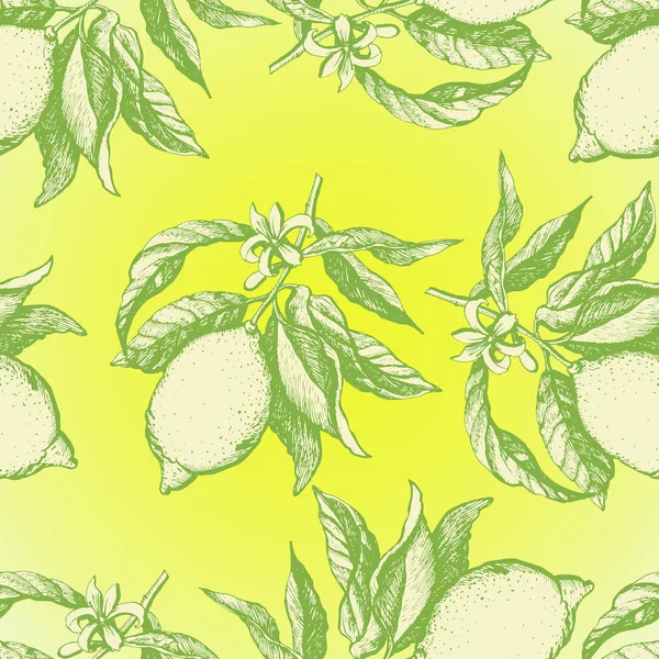 Vintage-Muster mit Zitronen — Stockvektor