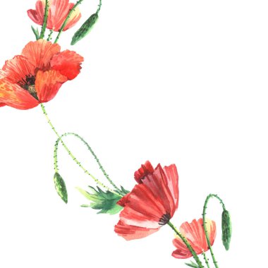 Haşhaş ile suluboya arka plan