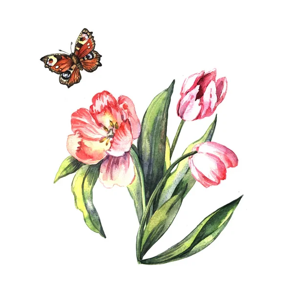 Watercolor Tulips and Butterfly — Stock Photo, Image