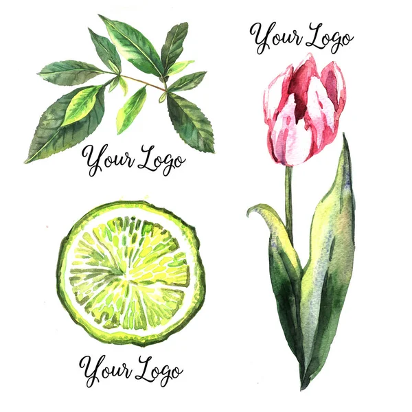 Set von Aquarell floralen Logos — Stockfoto
