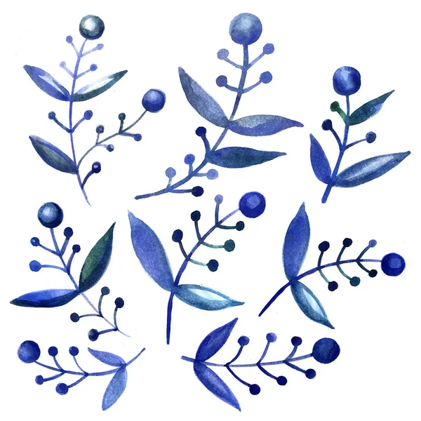Mavi dalları ile desen — Stok fotoğraf