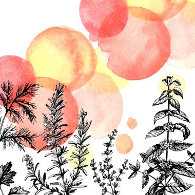  aromatik bitkiler ile desen