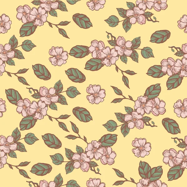 Vintage Decoratieve Grafisch Patroon Met Apple Boom Bloemen — Stockvector