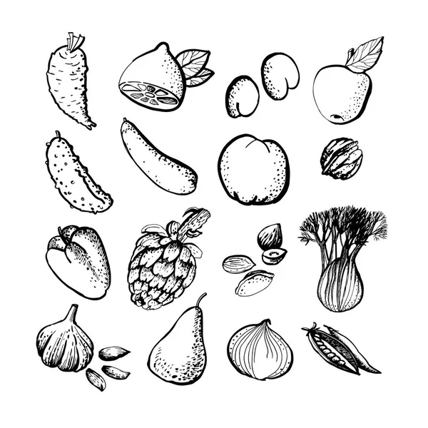 Illustrazione Grafica Frutta Verdura — Vettoriale Stock