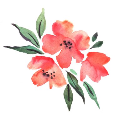 Beyaz zemin üzerine suluboya kırmızı çiçekler 