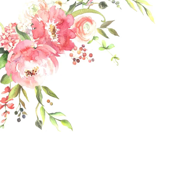 Акварельний Ескіз Квітів Півонії Білому — стокове фото