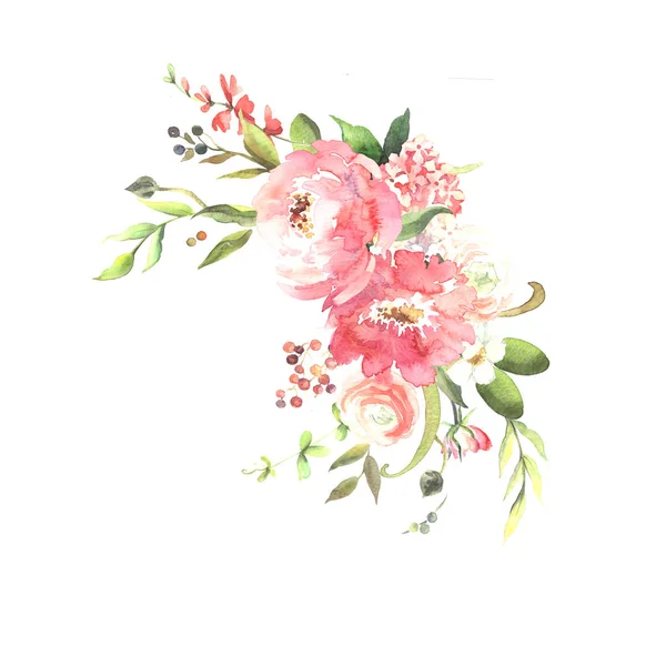 Watercolor Sketch Peony Flowers White — Stock Photo, Image