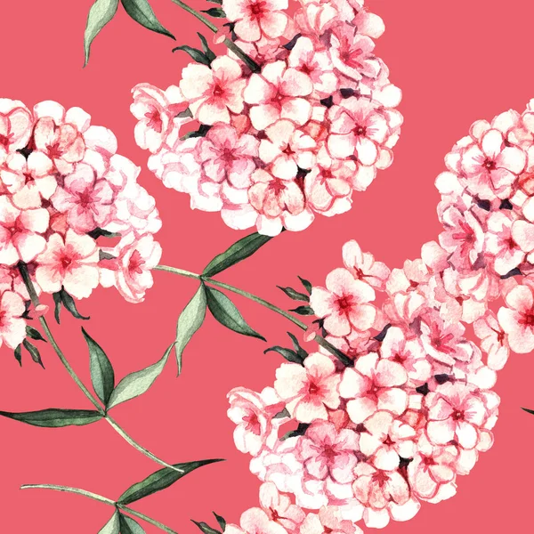 Watercolor Seamless Pattern Phlox Flowers — Stock Photo, Image