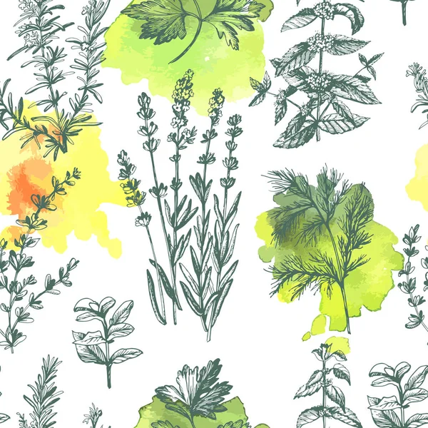 Motif Vintage Décoratif Graphique Avec Des Herbes Parfumées — Image vectorielle