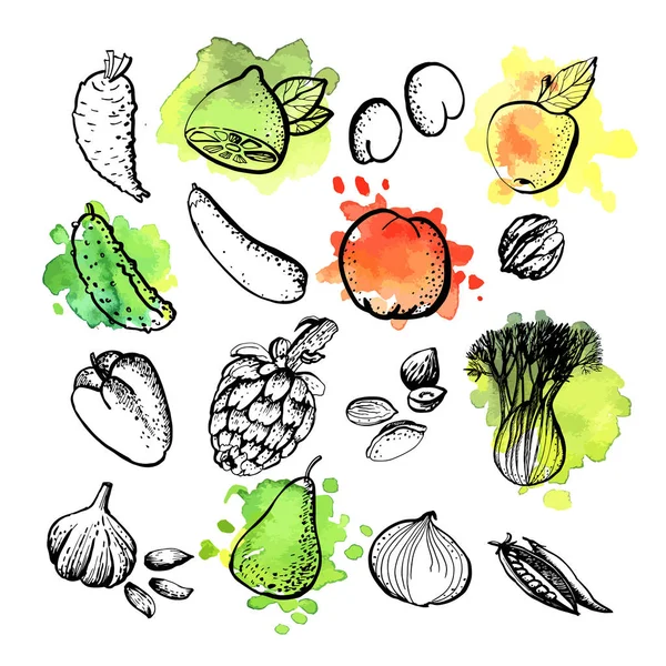 Graphic Sketches Vegetables Fruits Vector Illustration — Stock Vector