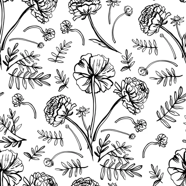 Illustration Vectorielle Graphisme Décoratif Sans Couture Avec Ranunculus — Image vectorielle