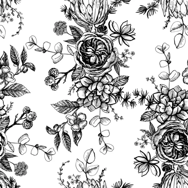Illustration graphique avec protea et succulents — Image vectorielle