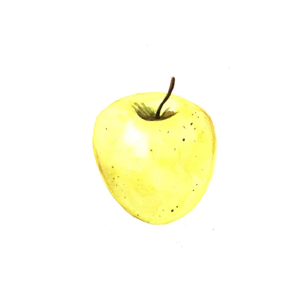 Akvarelové Jablko Skutečná Akvarel — Stock fotografie