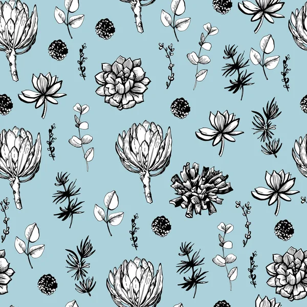 Grafik dekorativ nahtlos mit Protea-Blüten und Sukkulenten — Stockvektor