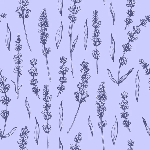 Herbal Lavender Pattern Seamless Pattern Fabric Paper Other Printing Web — Stock Vector