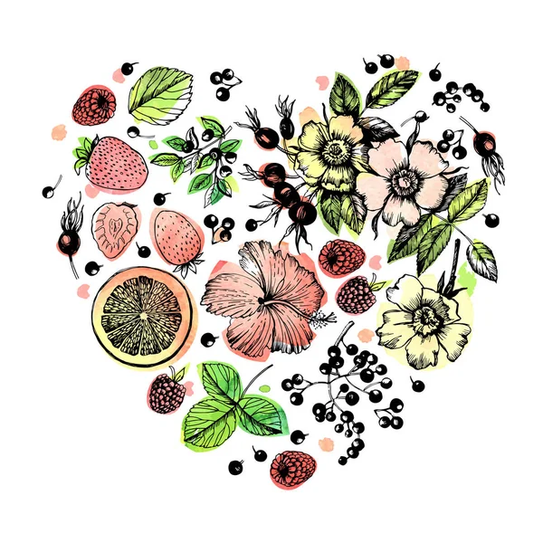 Graphic Illustration Plants Fruit Tea — 스톡 벡터