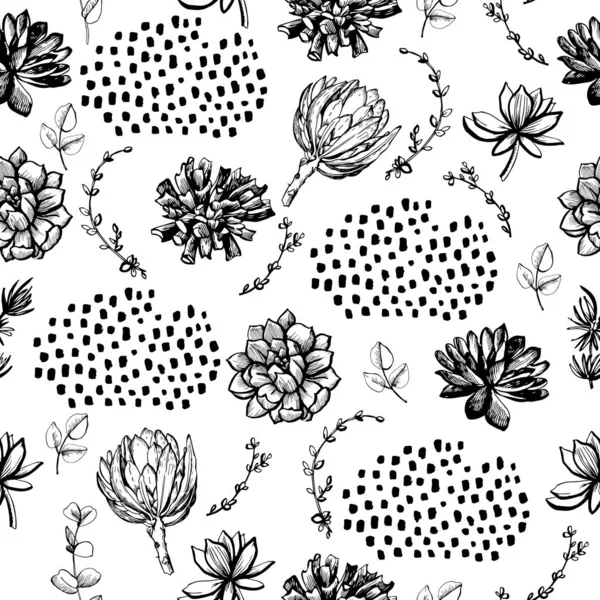 Modèle Graphique Avec Succulents — Image vectorielle