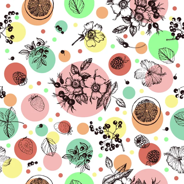 Illustration Graphique Plantes Thé Aux Fruits — Image vectorielle